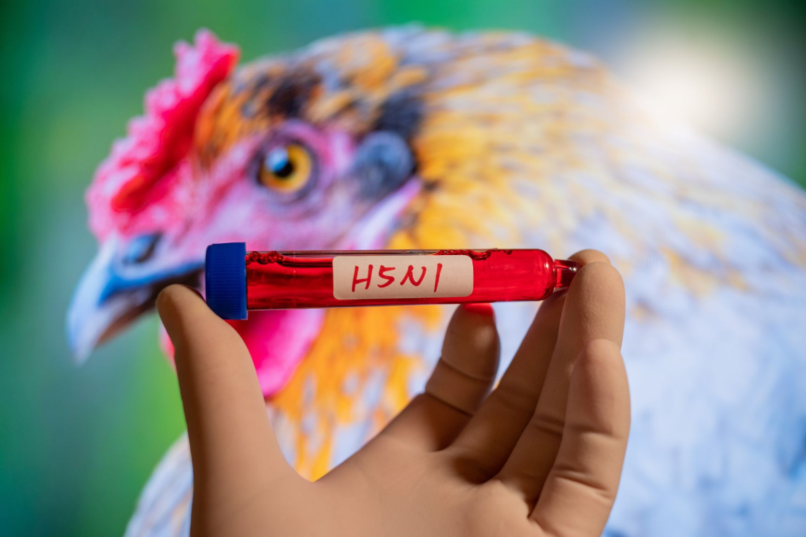 V ZDA prvi potrjeni primer ptičje gripe H5N5 pri človeku