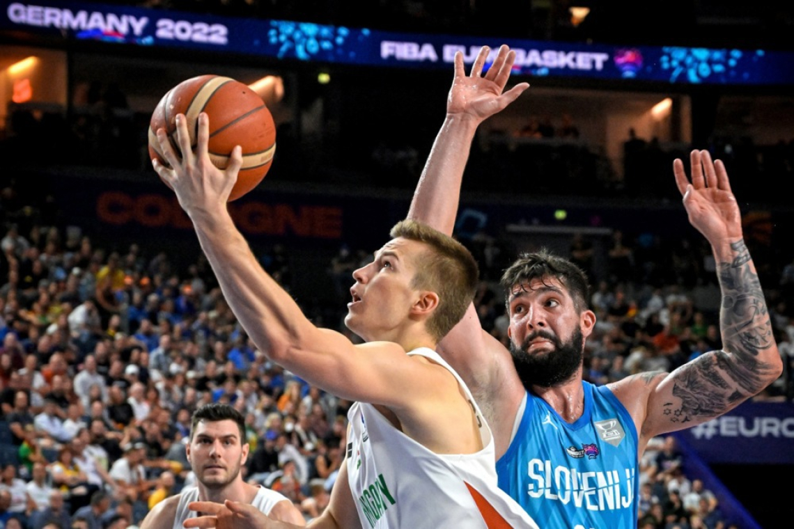 Dimec odslej v Ajdovščini