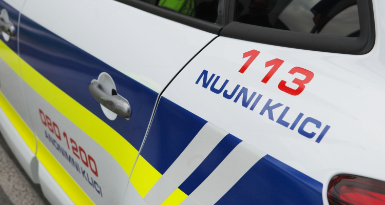 Med plavanjem v ribniku umrl moški